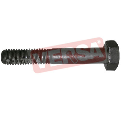 Chamber Bolt (For Cast Iron) (8*30) Swaraj- 724/735/FE/855/744 (Pack of 12)