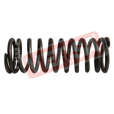 Oil Filter Spring - Swaraj 724/735/FE/855/744 (Pack Of 12)