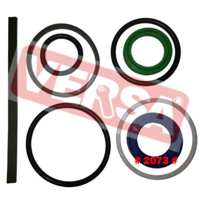 Steering Cylinder Seal Kit - Swaraj 855