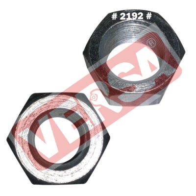 Nut Only For R.W Bolt M22 - Swaraj 855 DX (32 No)