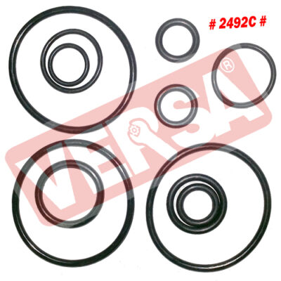 Response Valve O Ring Kit (Double Lever) - Swaraj 855/744 DX