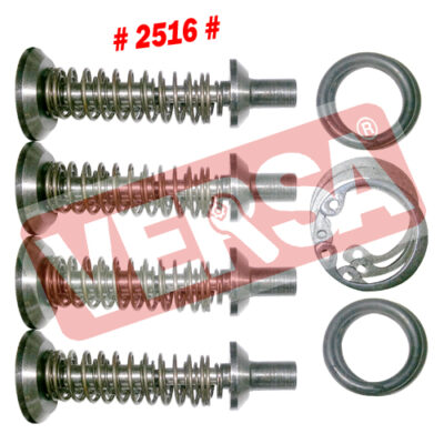 Valve Chamber Repair Kit (O/S) - Swaraj 735/855 OM