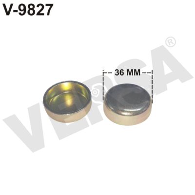 Head Dummy (36 MM) - Kirloskar 4R