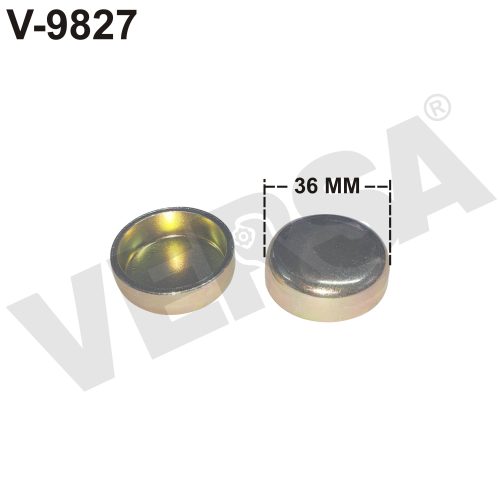 Head Dummy (36 MM) – Kirloskar 4R